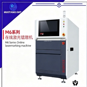 M6 Series Online laser marking machine